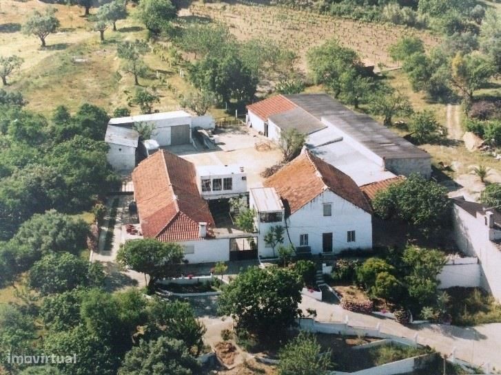 Herdade com 2 casas, Olaia, Torres Novas