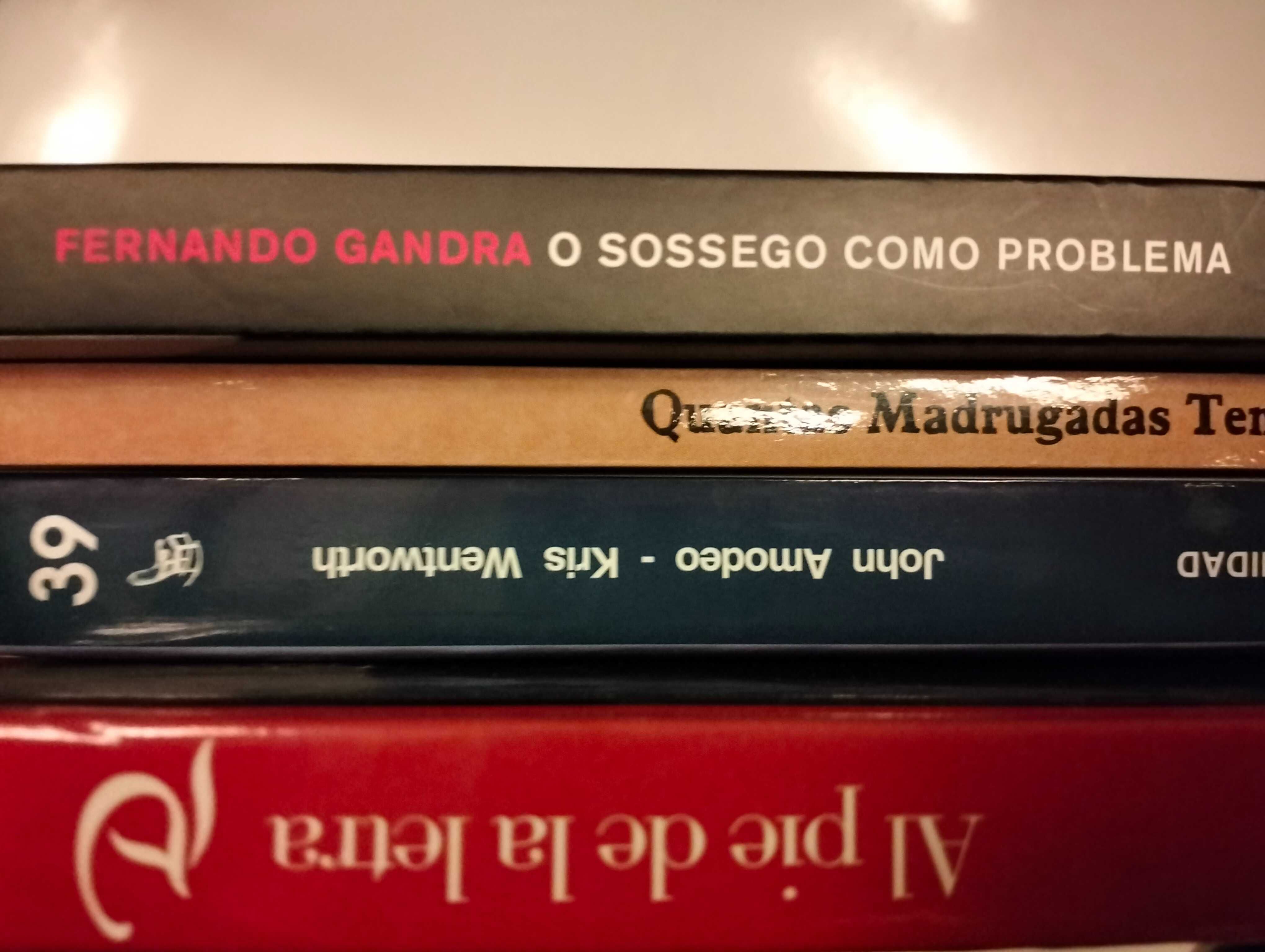 Livros vários: Romance e Poesia, Ensaio.