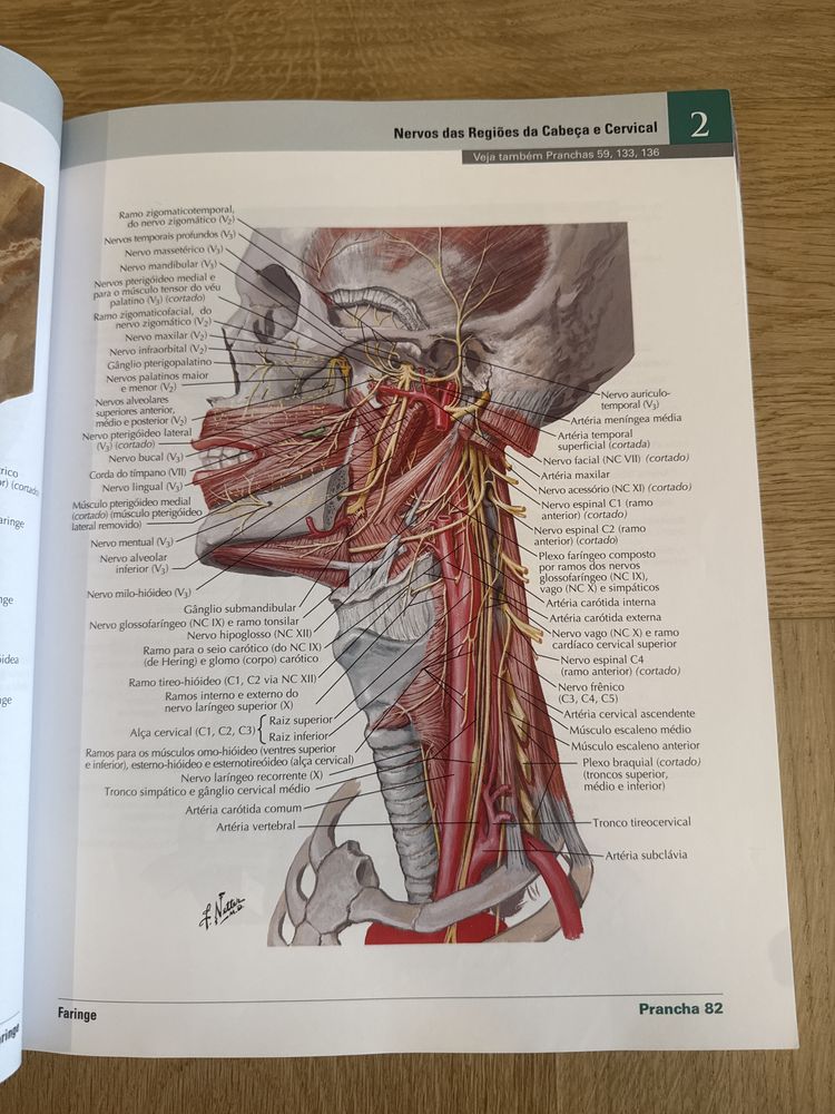 F. Netter Atlas de Anatomia Humana (versão em português)