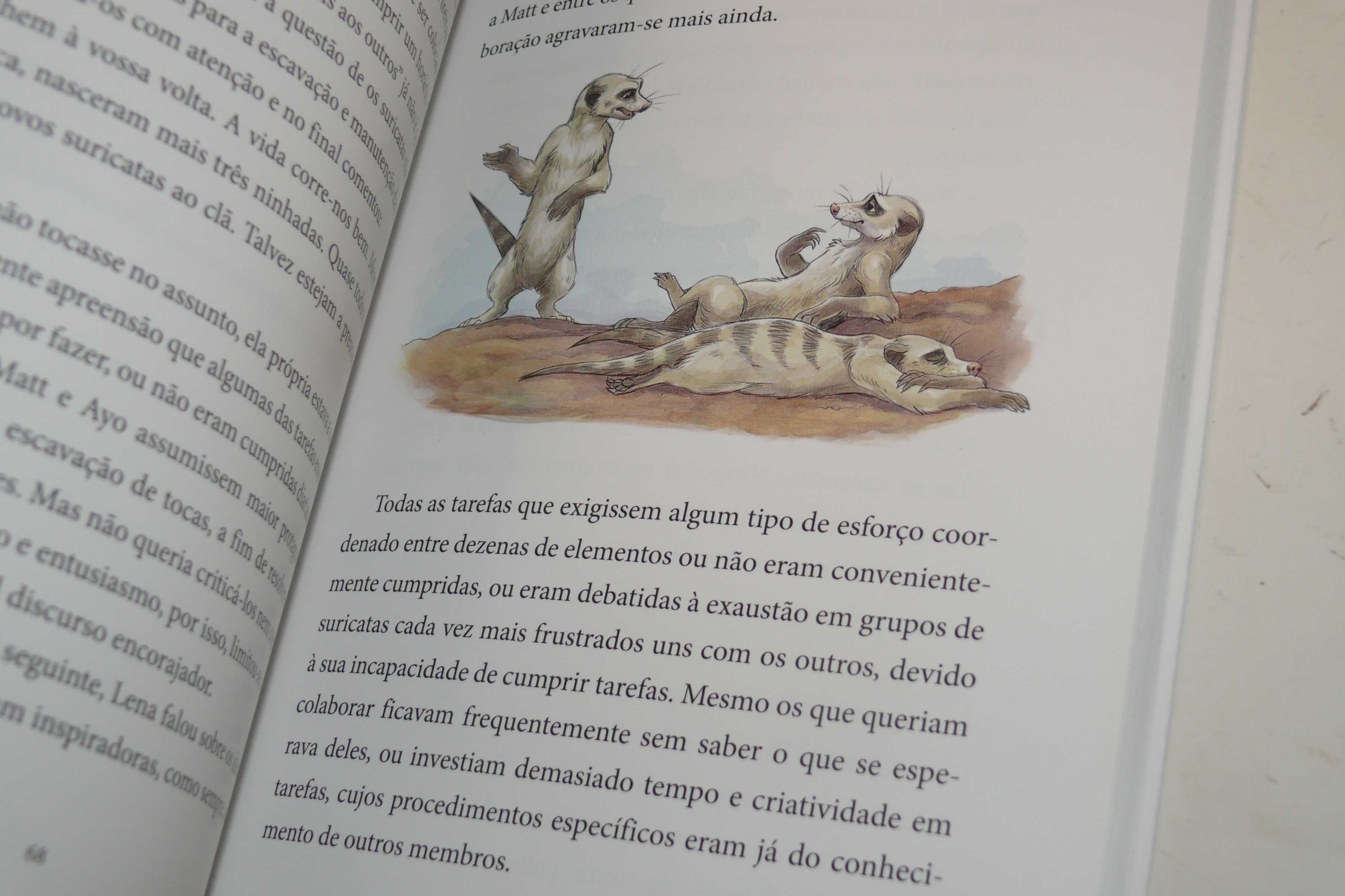 Livro - O nosso deserto está a mudar