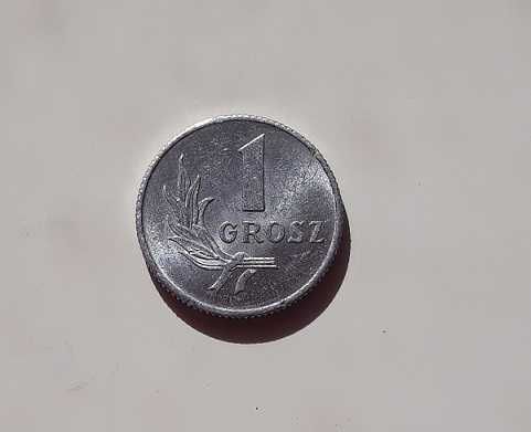 Moneta 1 grosz 1949 destrukt menniczy z runą Fehu zamiast kropki