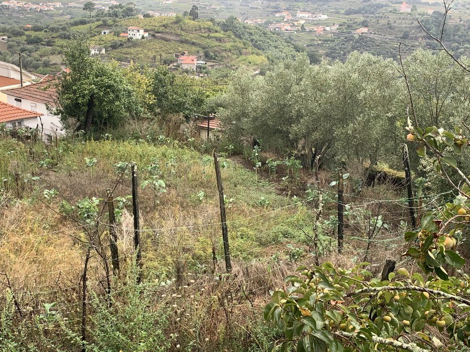 Terreno com habitacao