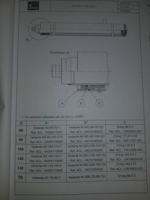 Plataforma elevatória de coluna hidráulica para cargas (1000 kgf)