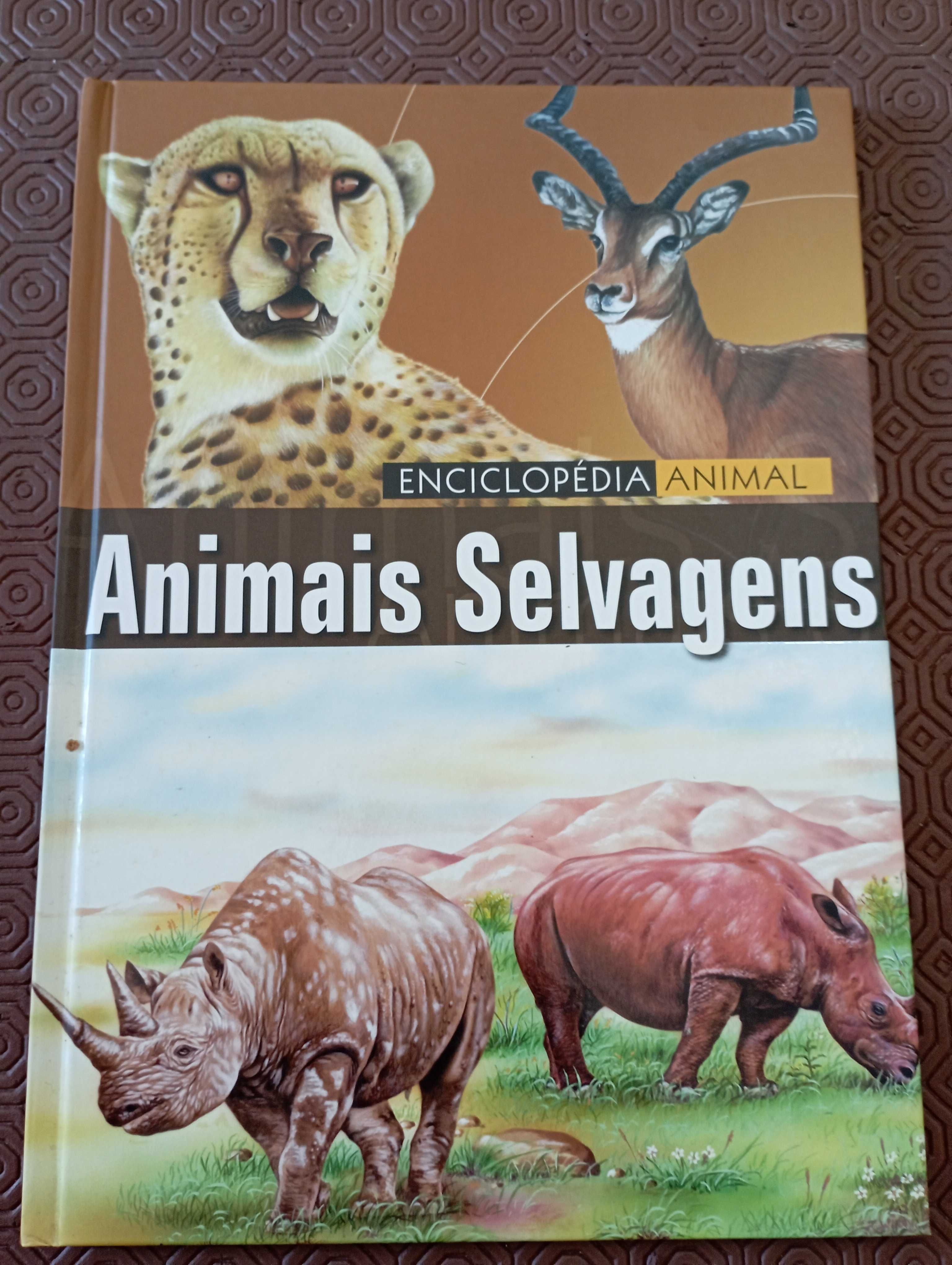 Coleção Mansão Assombrada e outros livros