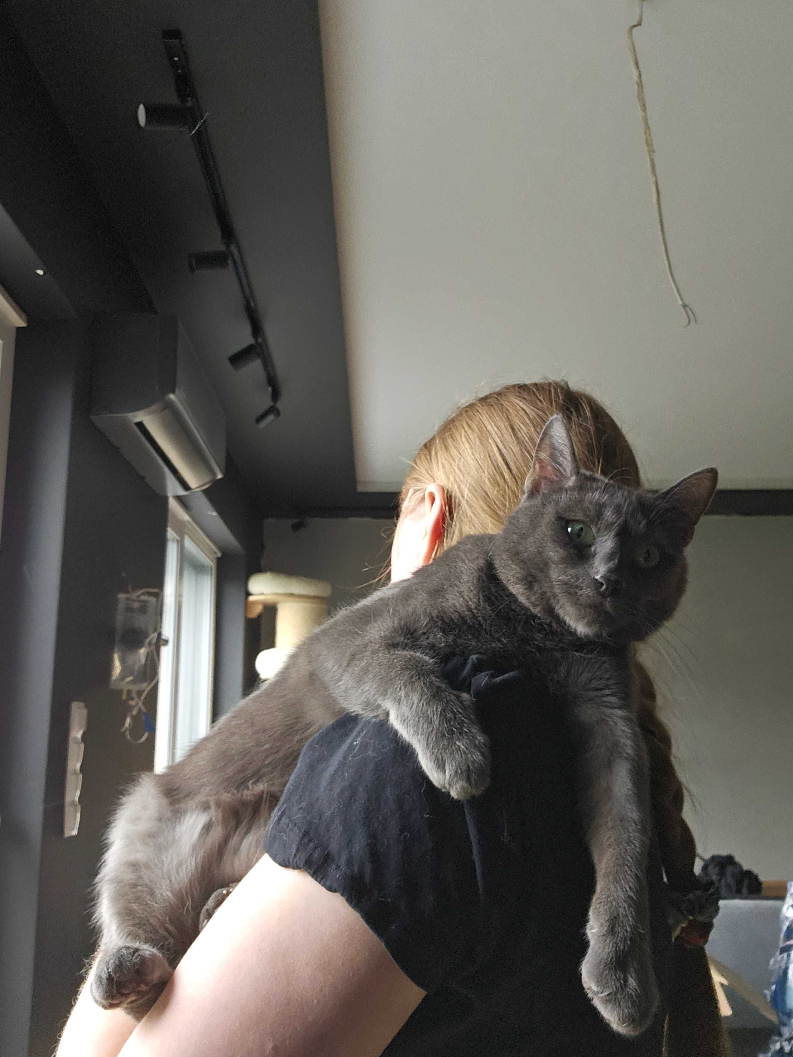 Do odpowiedzialnej adopcji cudowna kotka