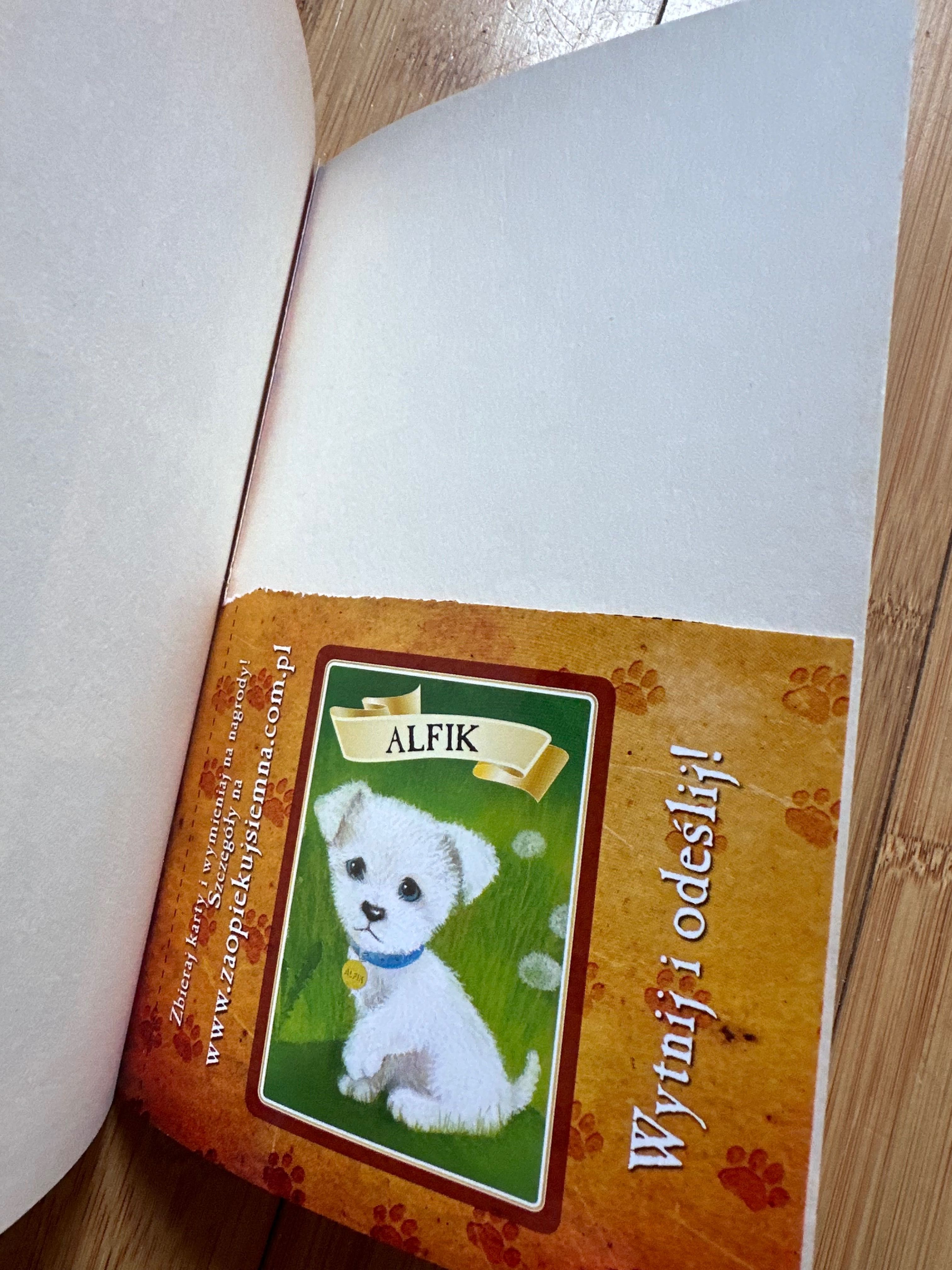 Wróć, Alfiku! Holly Webb seria Zaopiekuj się mną książka dla dzieci