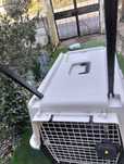 Caixa de transporte para cãozinho