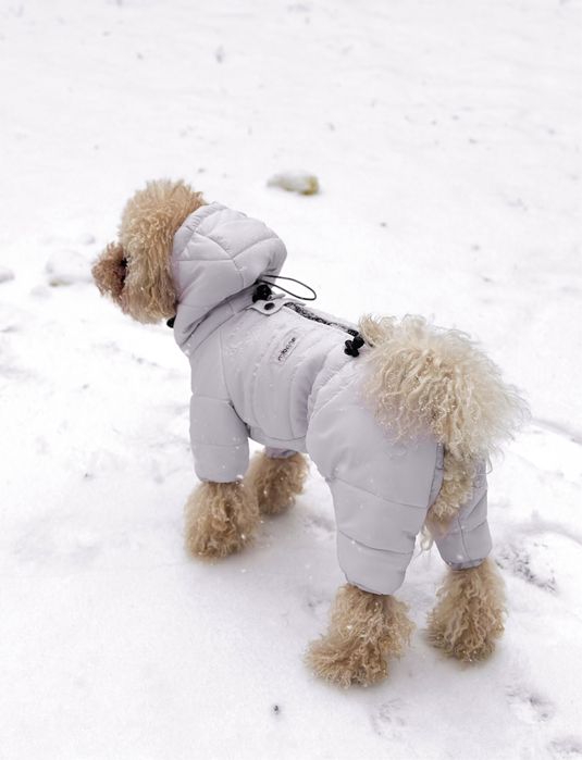 Zimowy kombinezon da psa, ręcznie szyty (szary, lilowy)