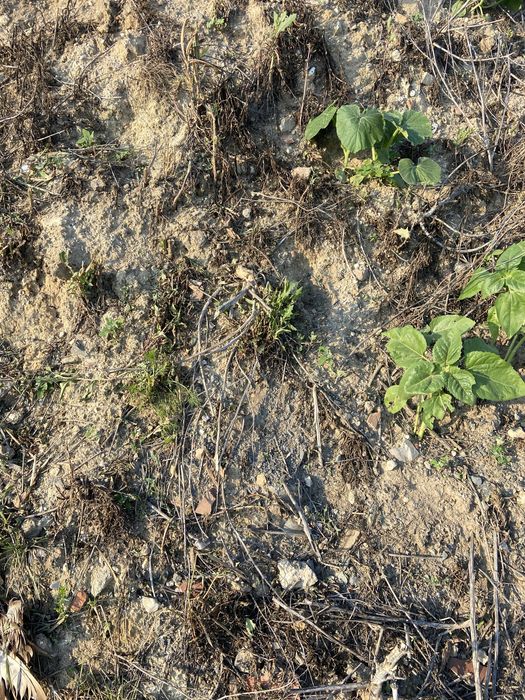 Oddam ziemie na podwyzszenie terenu