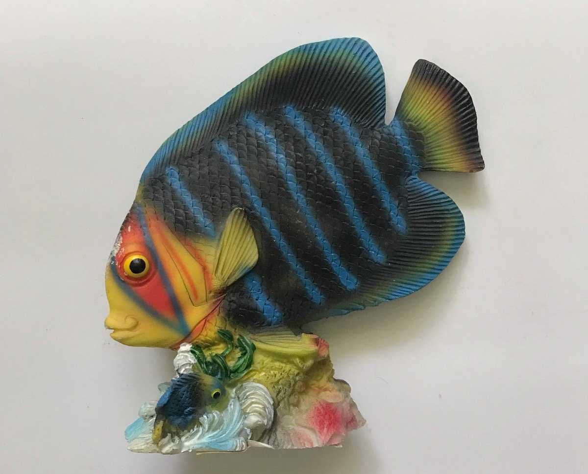 Figurka Ryba na rafie koralowej 13 x 14 cm