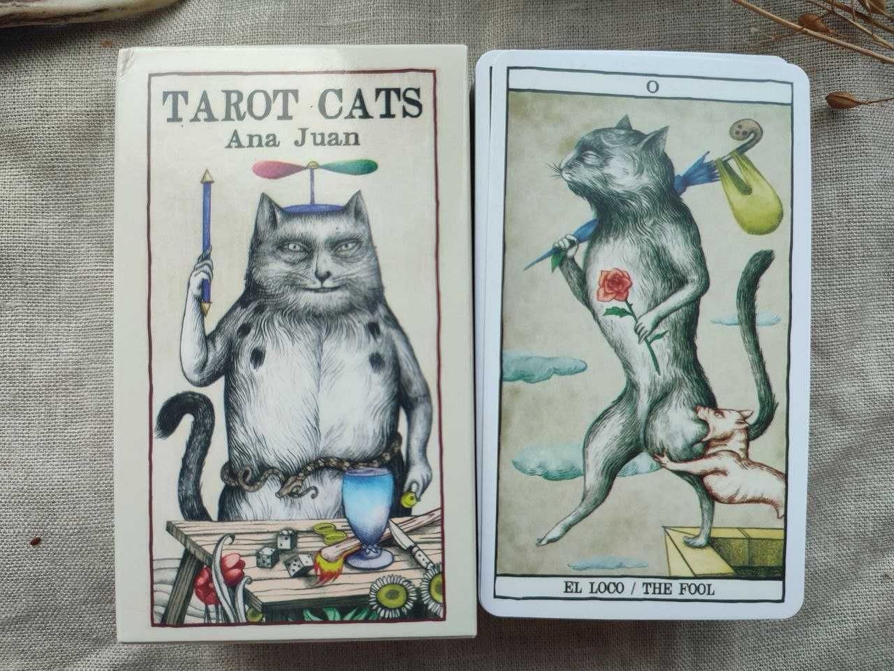 Гадальные карты таро кошек cats tarot таро с котиками котами ана жуан