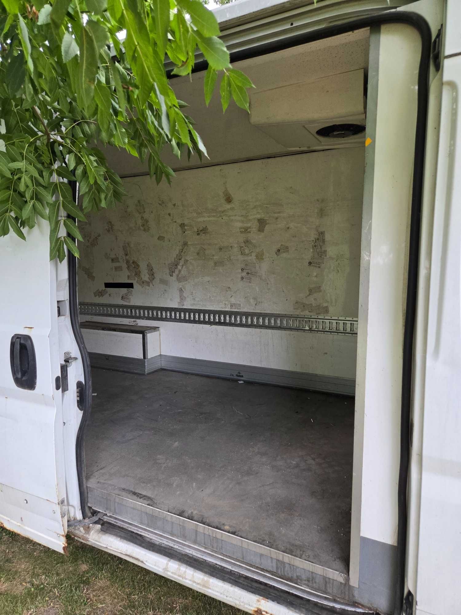 Zabudowa busa Chłodnia Izoterma Carrier Fiat Ducato, Jumper Boxer lift