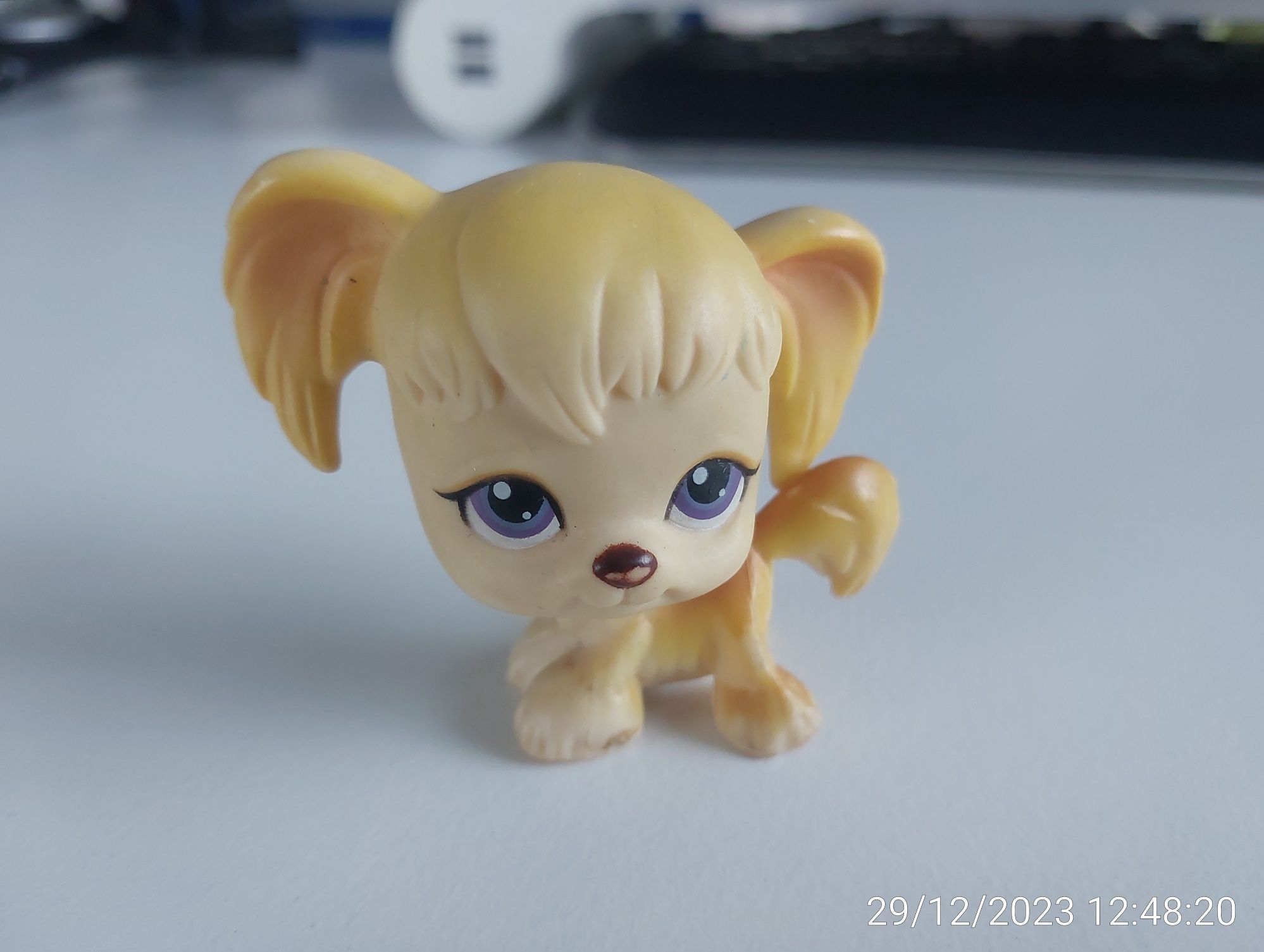 Figurka Littlest Pet Shop - piesek spaniel