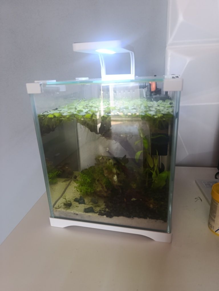 Akwarium 10 litrów