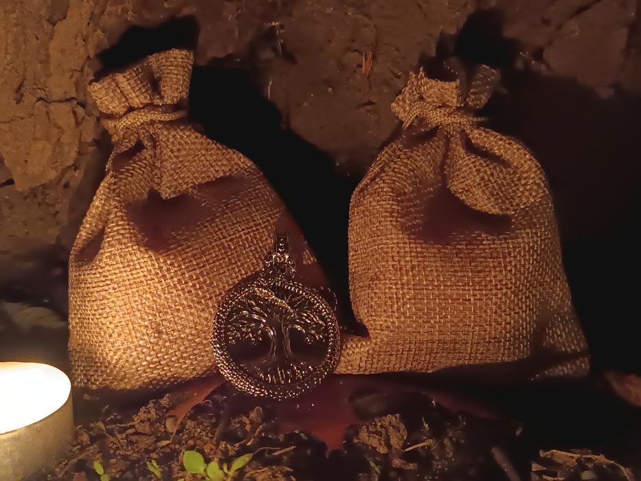 Medalion nordycki Drzewo Życia