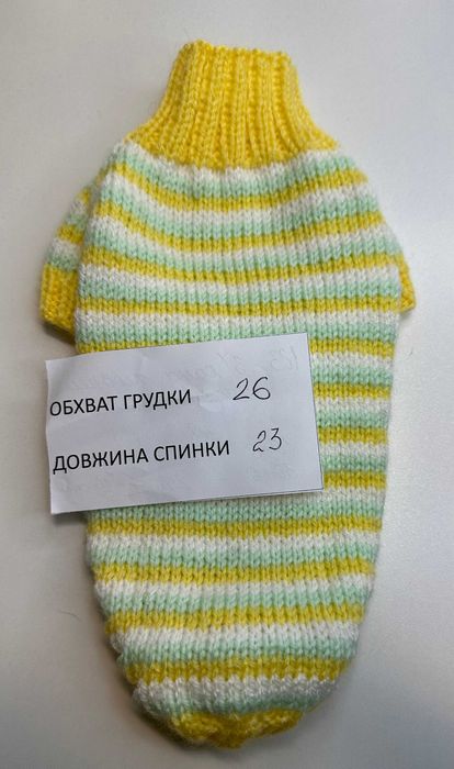 светри на маленьке цуценя щенка чихуахуа йорка
