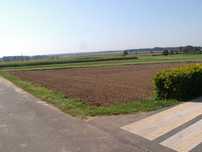 Atrakcyjna działka budowlana 800 m² – Tomnice k. Krotoszyn
