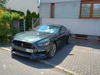 Ford Mustang 3.7 manual sportowy wydech