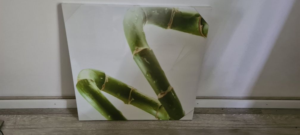 Obrazy bambus, owoce 60x60 cm