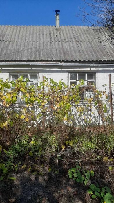 Дача в  дачном районі