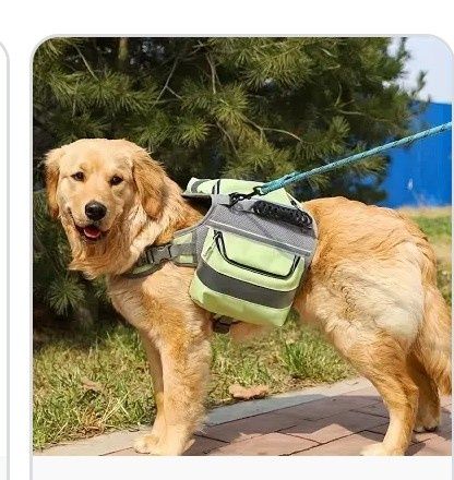 2 Mochilas para cães com mais de 20kg