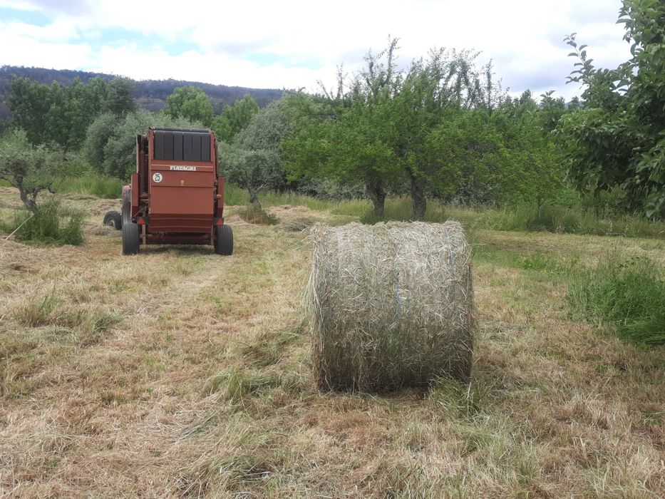 Enfardadeira de rolo new holland fiatagri 5880