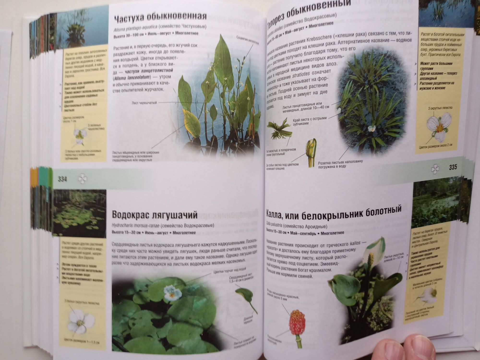 Энциклопедия животных и растений
