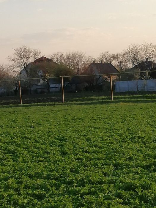 Продам участок земли , в Александровке. Днепровский р-н