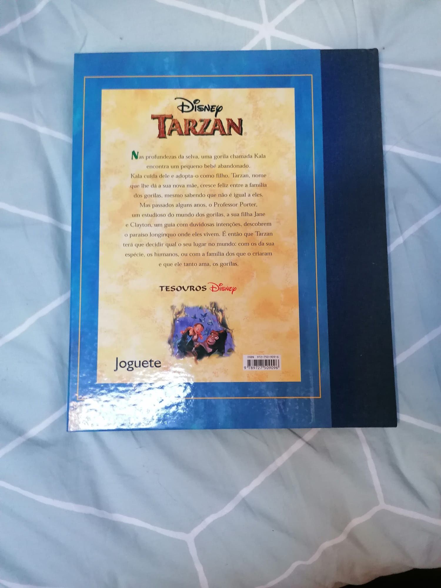 Tarzan -  livro para crianças