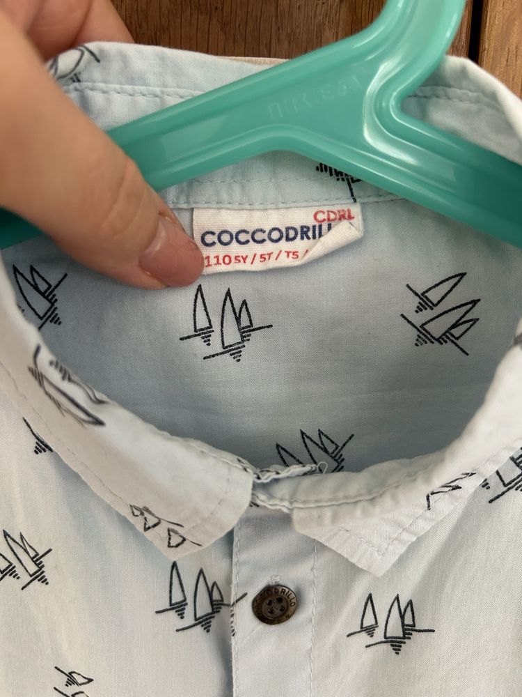 Koszula z krótkom rękawem rozm.110, Coccodrillo
