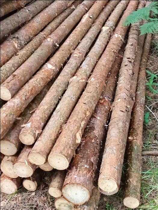 Stemple budowlane grube, piękne, tanio 3 m