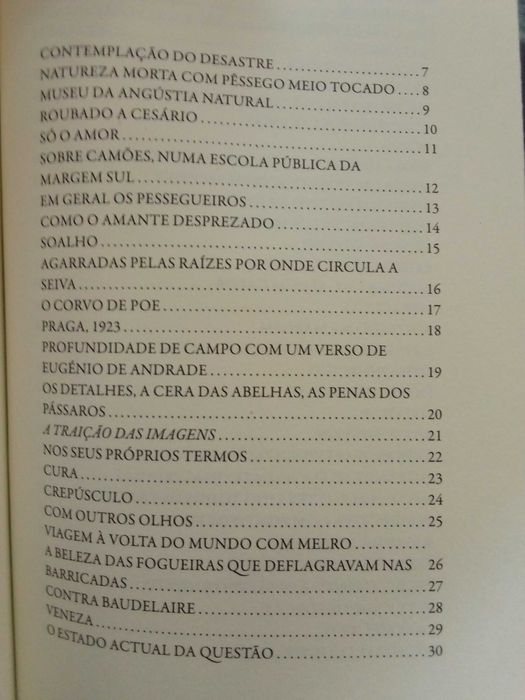 Luís Filipe Parrado - Museu da angústia natural