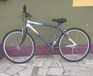 Bicicleta adulto