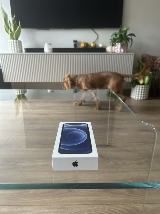 IPhone 12 mini black