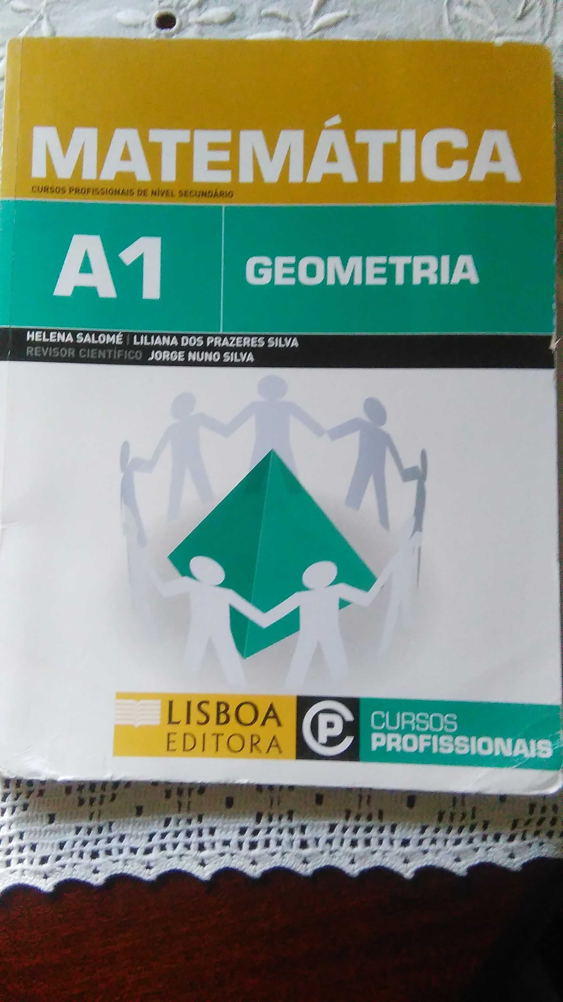 Livro Ensino Profissional Área de Matemática ( Geometria ) A-1