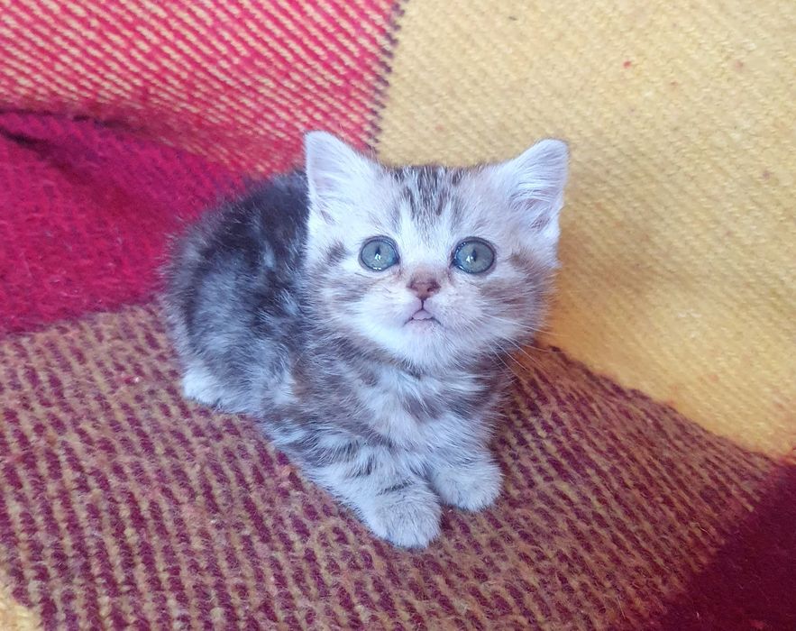 Мила крихітка з документами