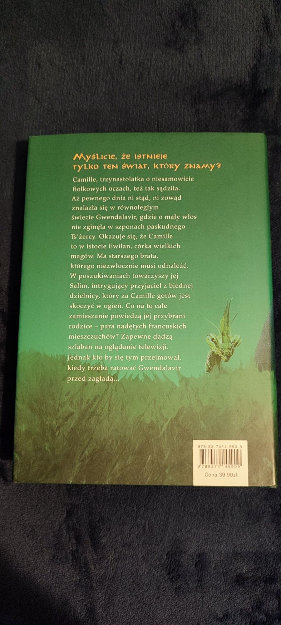 Książka Ewilan z dwóch światów, Wyprawa, Pierre Boterro