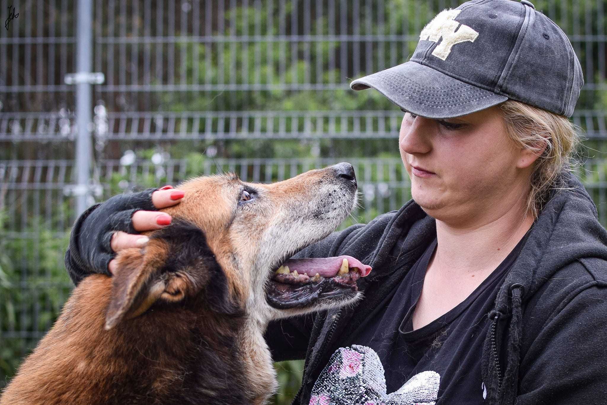 Spajk potrzebuje opieki - łapka tylna nie jest w pełni sprawna