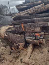 Cięcie i rabanie drewna możliwość pomocy w lesie