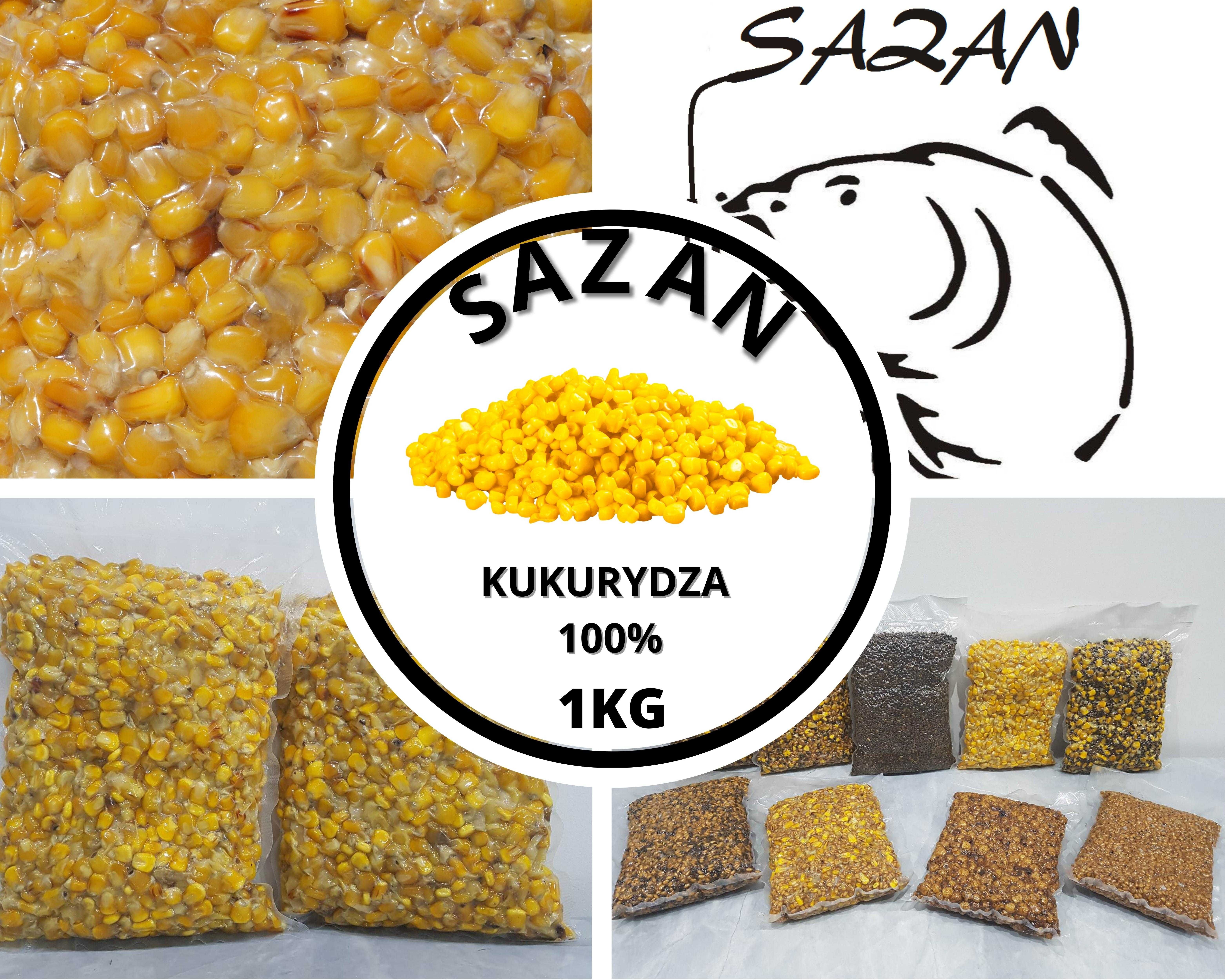 20kg Kukurydza gotowana ZANĘTA WĘDKARSKA Sazan Baits