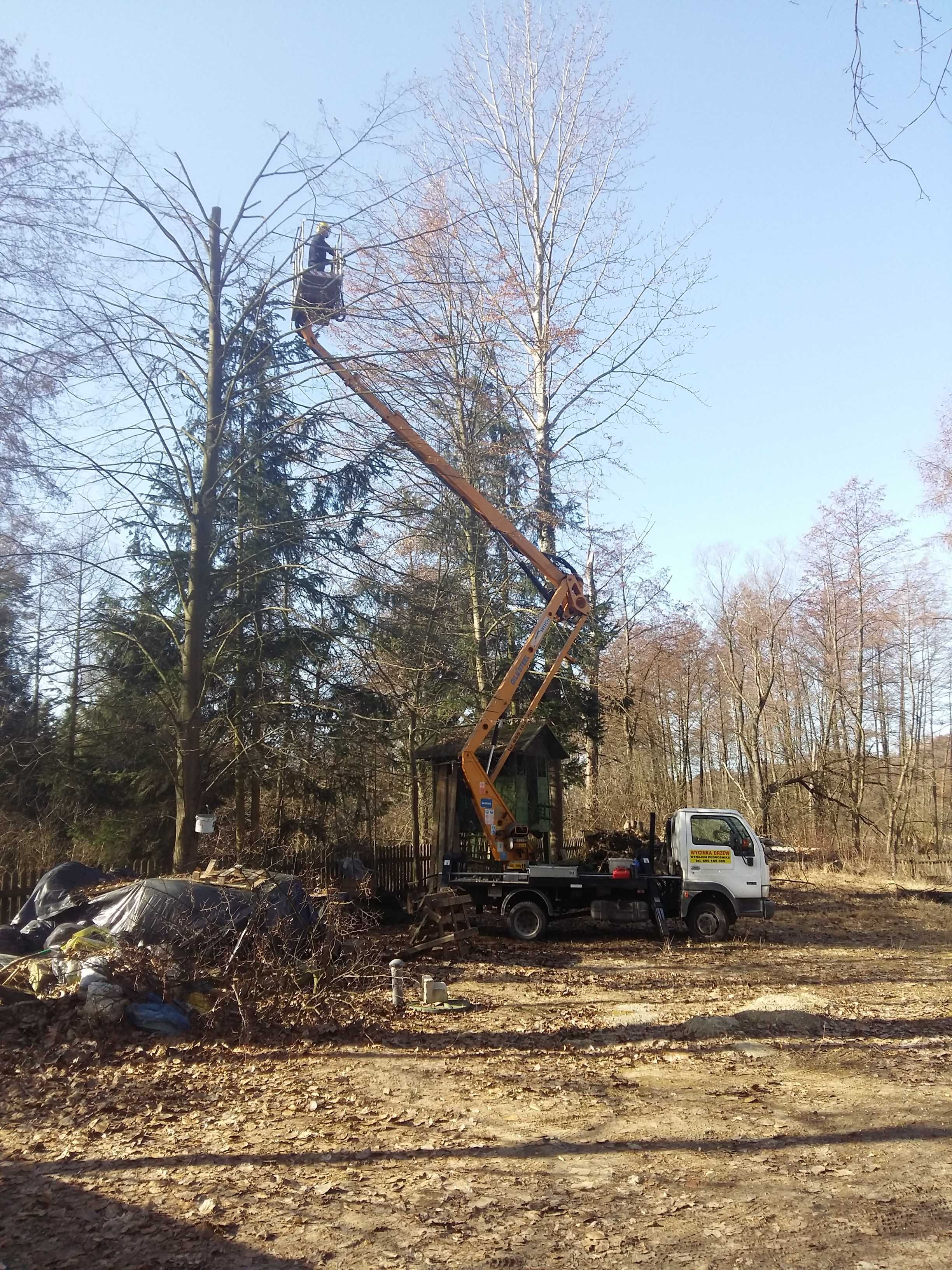 Wycinka drzew z podnośnika , usługa rębakiem, pielęgnacja koron drzew