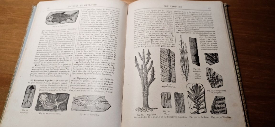 Notions de Geologie 1926