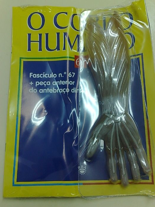 Fascículos e peças da Colecção do Corpo Humano