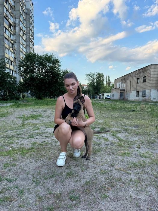 Кінолог Київ Троєщина