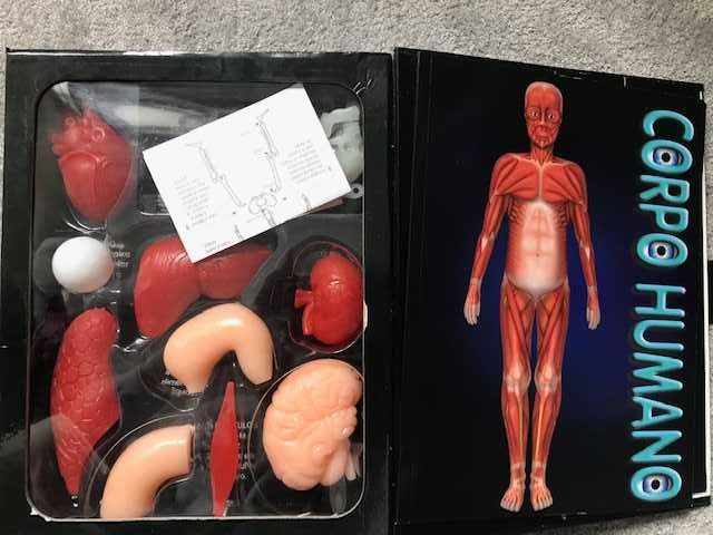 Atlas 3D Anatomia Corpo Humano EDICARE, Coração