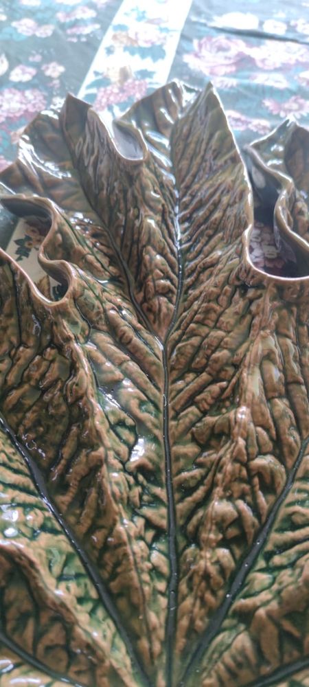 Folha de castanheiro bordal pinheirro
