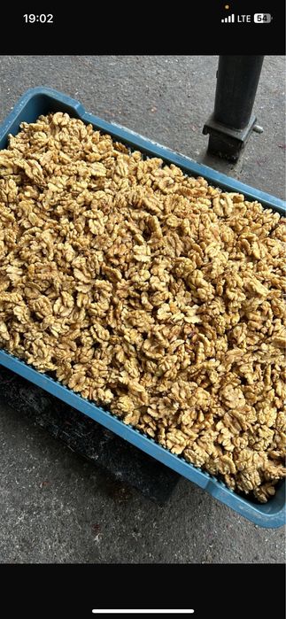 Грецький горіх очищений