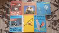 Książki hobbystyczne ptaki, ryby, kanarki, koty, swinki morskie