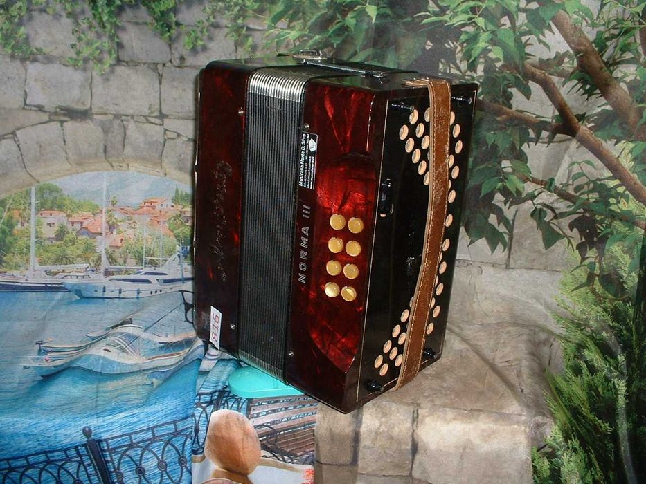 Concertinas a venda N.816