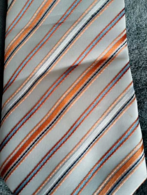 Jedwabny krawat że spinka do krawata i spinkami do koszuli
